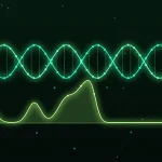 ChromBPNet Inputs Explained: Peaks, Reference Genome and Signal Data