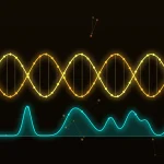 ChromBPNet vs BPNet: What Is the Difference?
